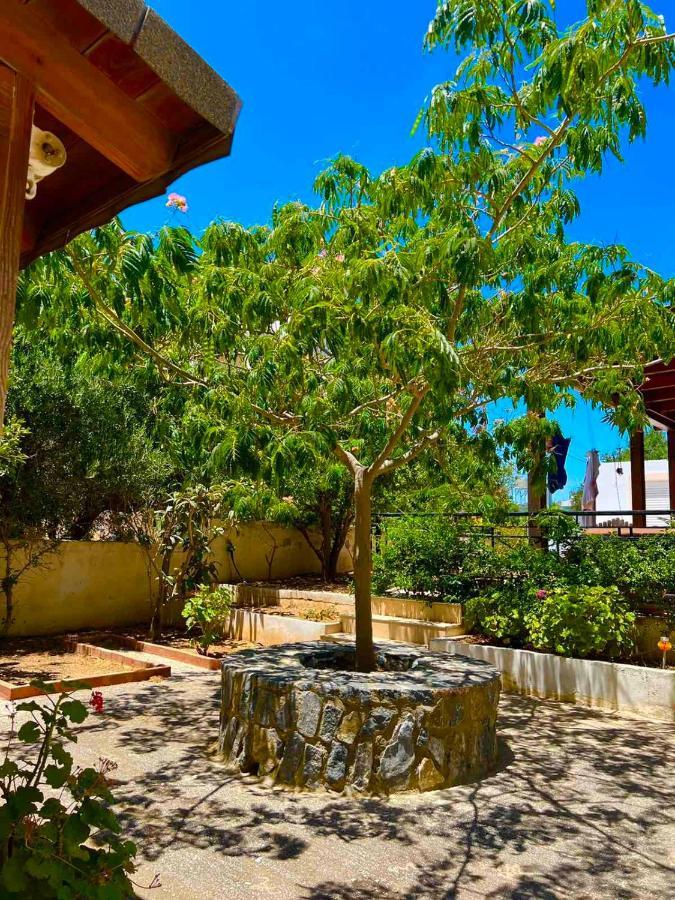 Cherrywood Creta Apartment Ierápetra Dış mekan fotoğraf
