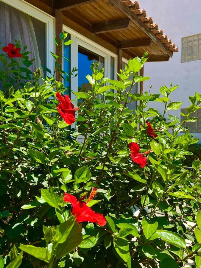 Cherrywood Creta Apartment Ierápetra Dış mekan fotoğraf